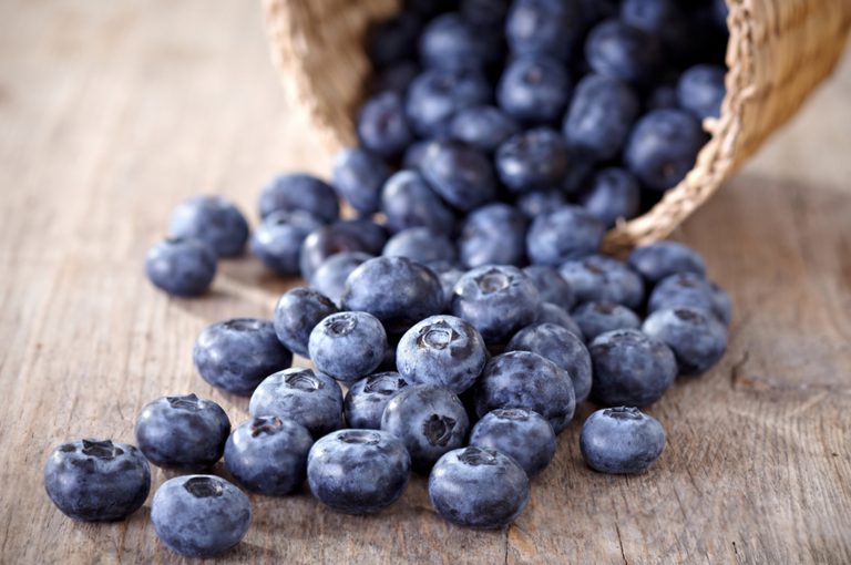 Dal bosco al banco: i mirtilli in farmacia