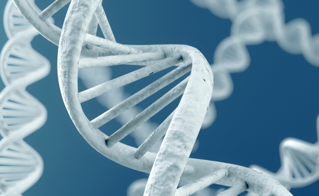 Banca del DNA: un nuovo sistema per la lotta al crimine
