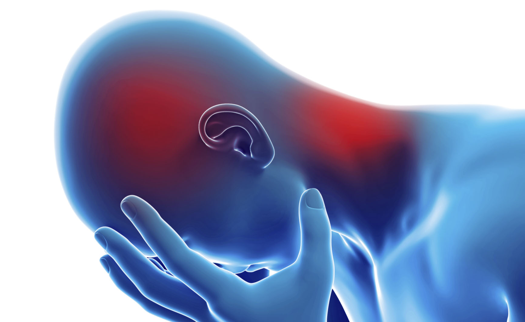 Il trauma cranico che contrasta gli effetti dello stress