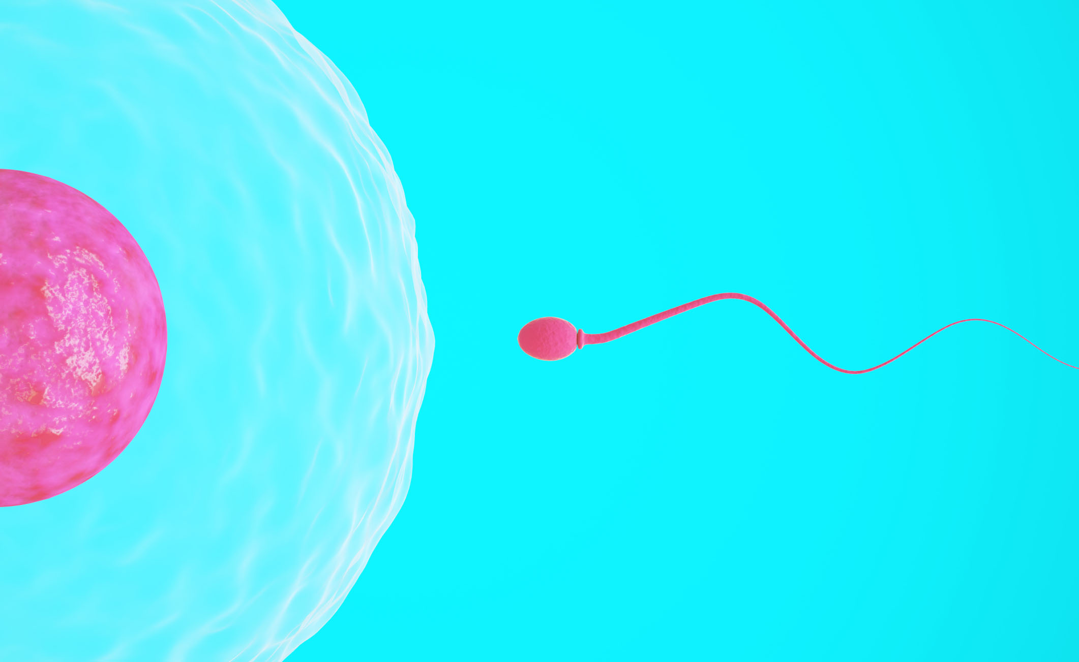 Congelare lo sperma a 18 anni: i bioetici incoraggiano gli uomini