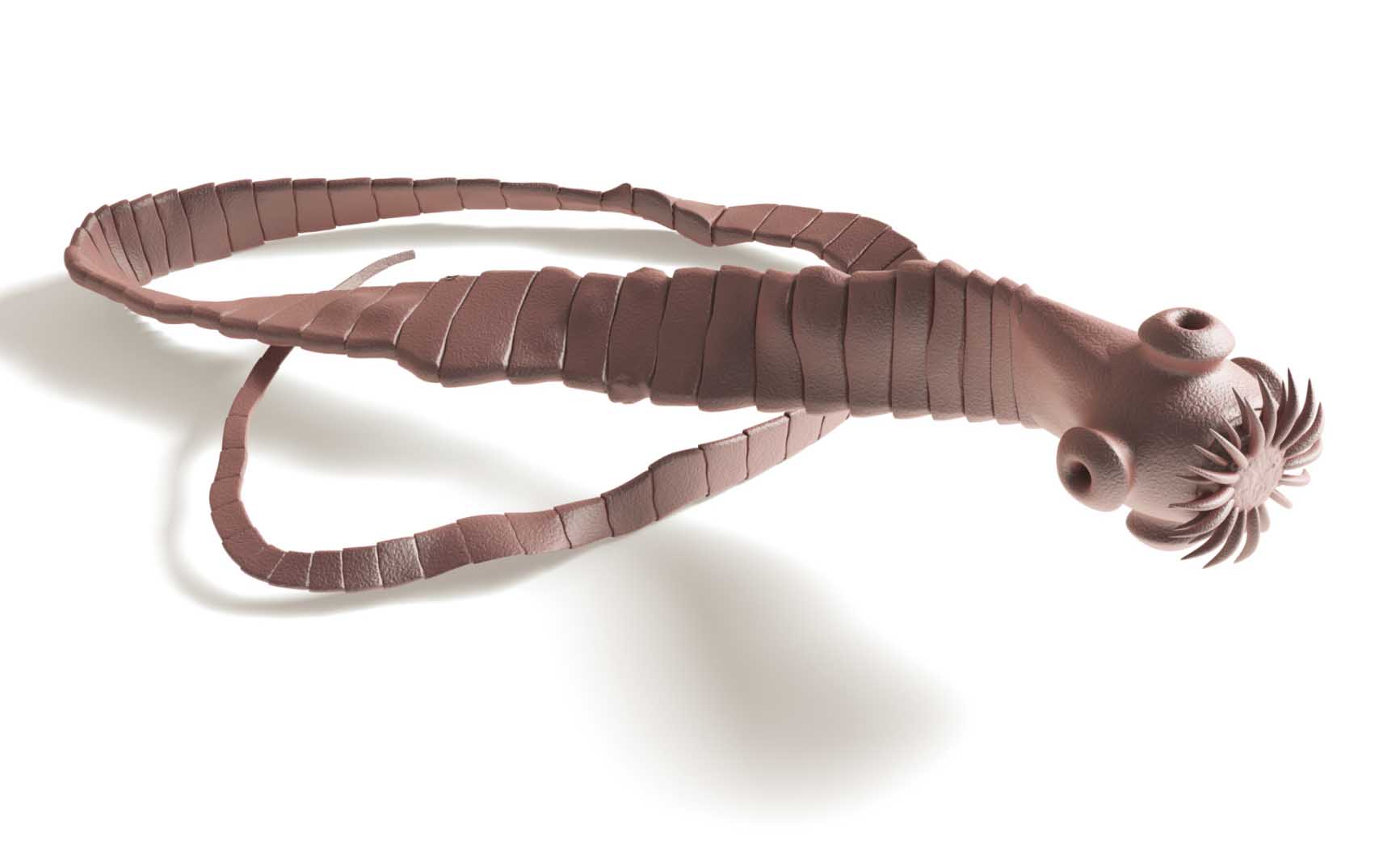 Una tenia cancerogena uccide un uomo Pazienti.it