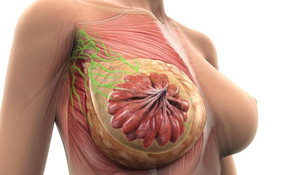 dolore ovaia sinistra in menopausa
