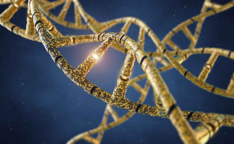Le mutazioni genetiche più curiose