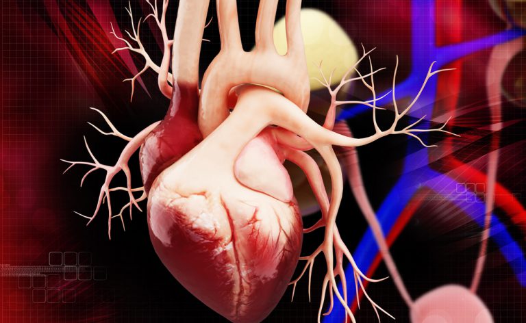 Dall’intervento a cuore aperto alla cardiochirurgia mininvasiva: i progressi della scienza