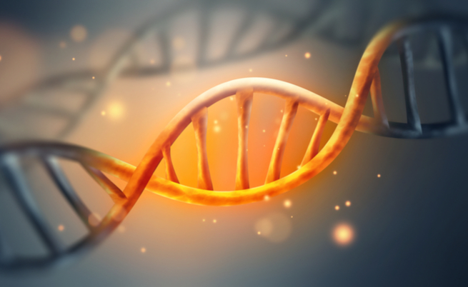 Quello che non immagini sul DNA: ecco 10 curiosità!
