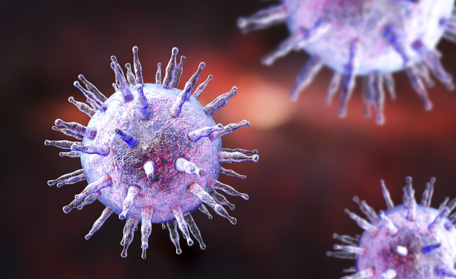 Risultati immagini per virus epstein barr sintomi