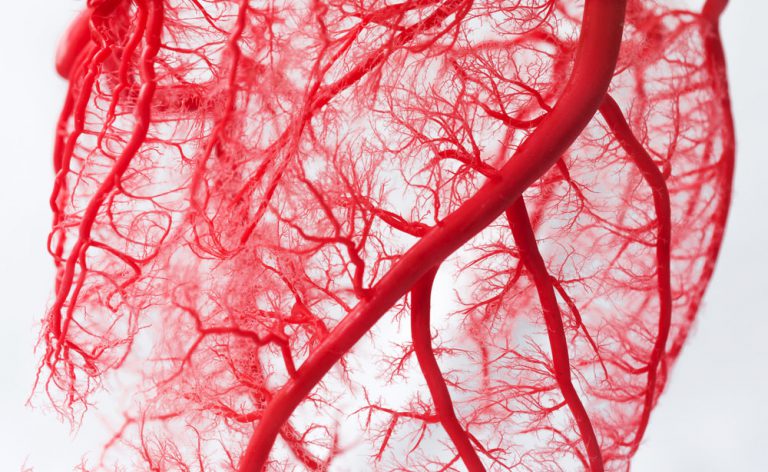 Riconoscere il varicocele: tutti i sintomi del disturbo