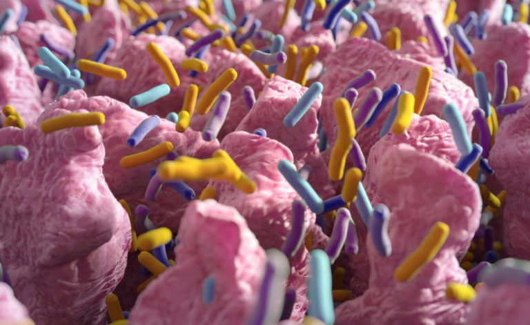Microbiota: la salute parte da qui!