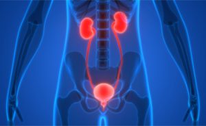 la voglia di urinare frequentemente di notte
