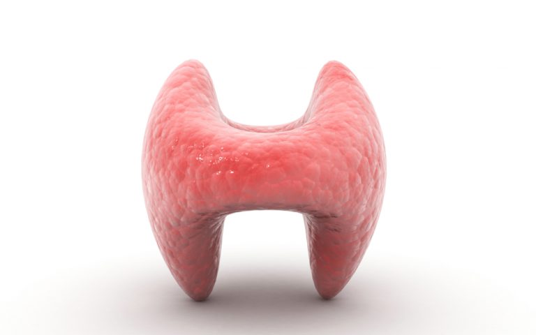 Quando i problemi di digestione sono legati alla tiroide