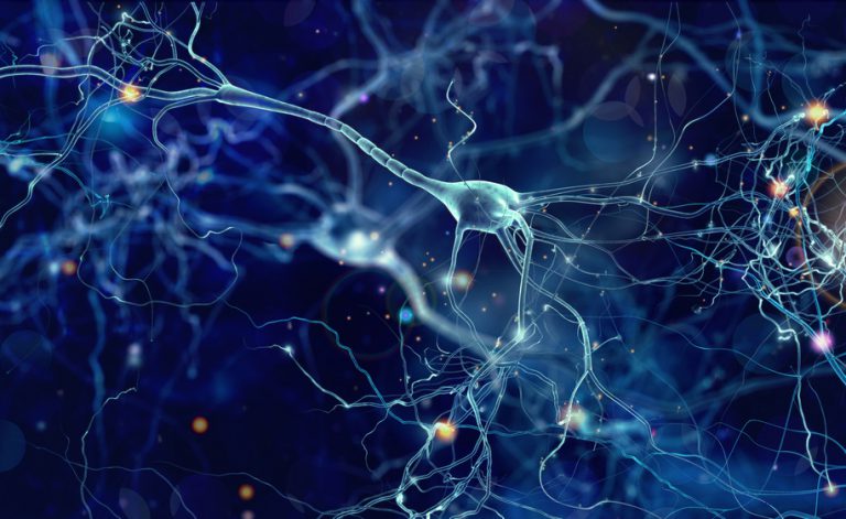 Autismo: sapresti riconoscere i primi sintomi?