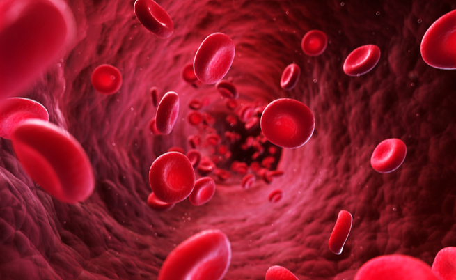 Trasfusioni di sangue: il sesso del donatore potrebbe fare la differenza