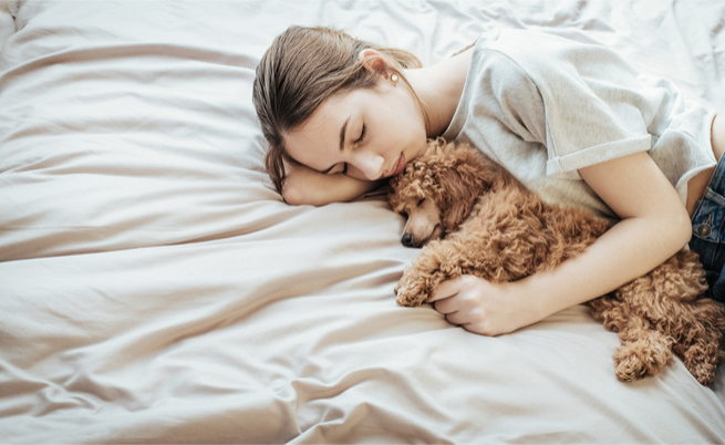 Dormire con il cane disturba il sonno: vero o falso?