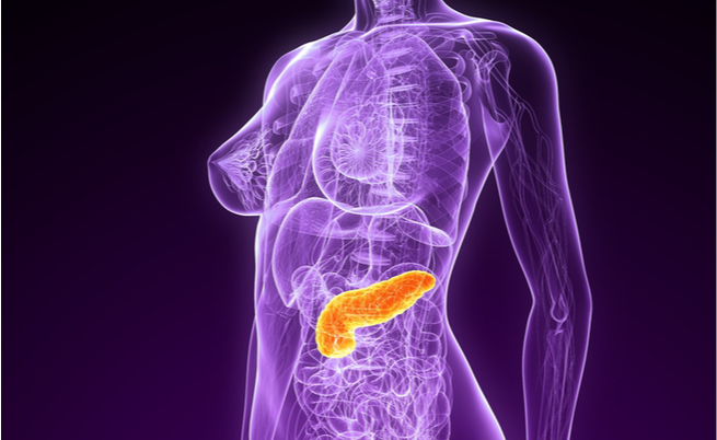 Topinambur: il tubero che fa bene ai diabetici