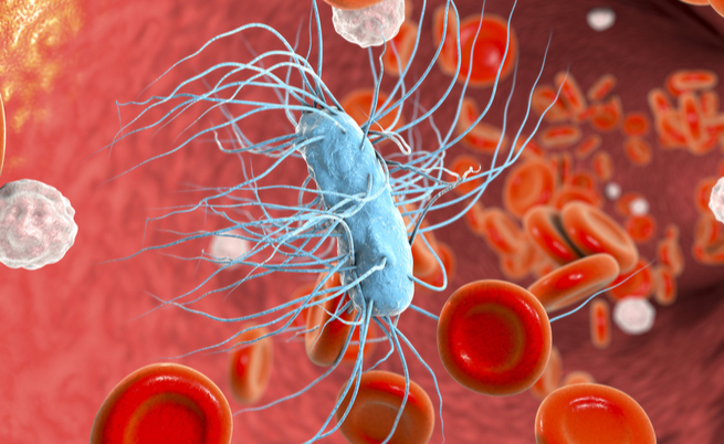 Escherichia Coli in gravidanza: che fare?