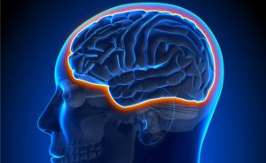 Prevenire la Demenza Senile