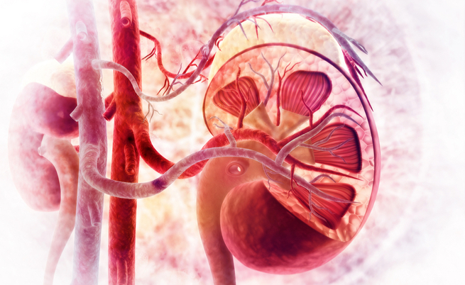 minzione frequente per il virus delle 24 ore