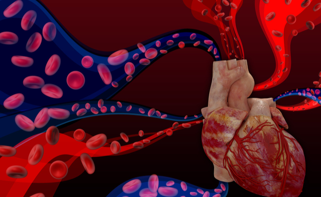 Cardiopatie congenite, ecco come “scoprirle”: la parola al cardiologo