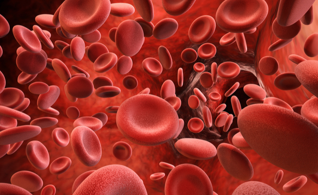 Autismo: un test del sangue e delle urine per una diagnosi precoce