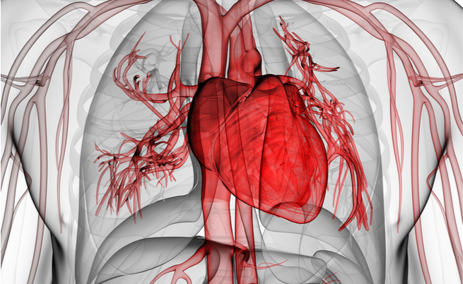 le malattie cardiache causano disfunzione erettile le malattie cardiache causano disfunzione erettile