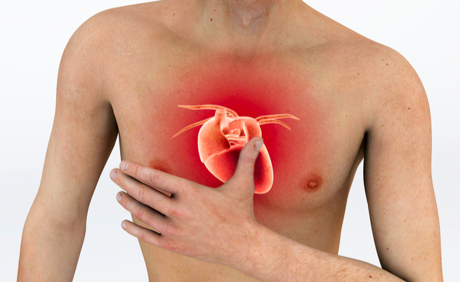 Bradiaritmia: quando il battito del cuore rallenta fino a fermarsi