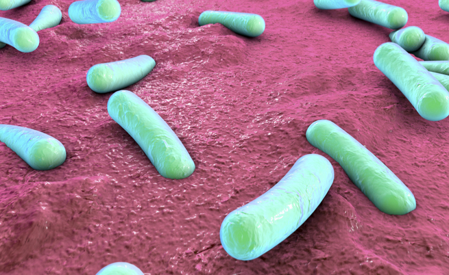 I batteri che causano malattie autoimmuni: dall’artrite al morbo di Crohn