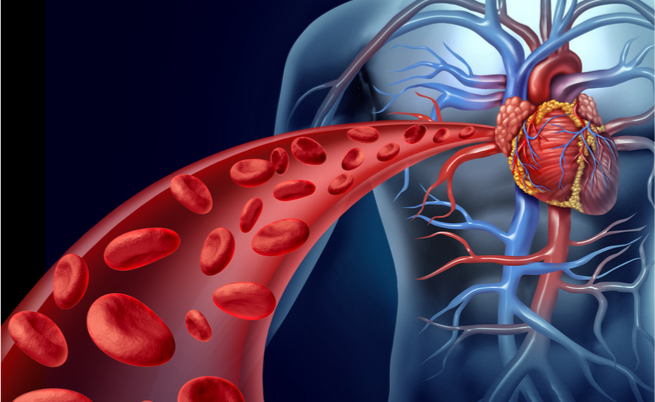 Enzimi cardiaci alti: la colpa è del cuore ma non solo