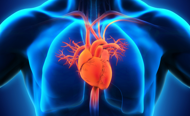 10 cibi che fanno (molto) bene al cuore