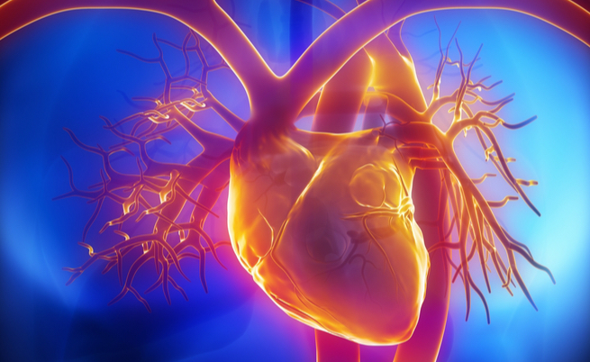 Soffri di cuore? L’invalidità e le agevolazioni a cui hai diritto