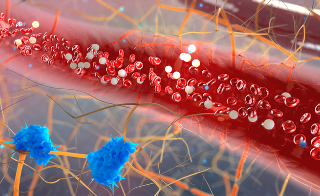 Esami del sangue: i valori che indicano che soffriamo di ansia e paura