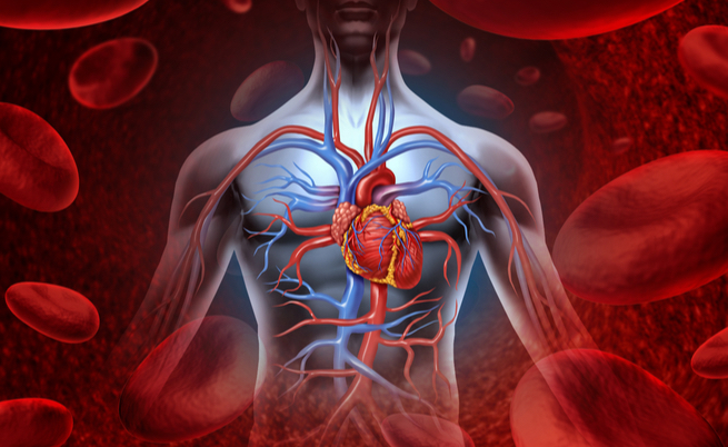 Cuore polmonare: quando il ventricolo si ingrossa per colpa dei polmoni