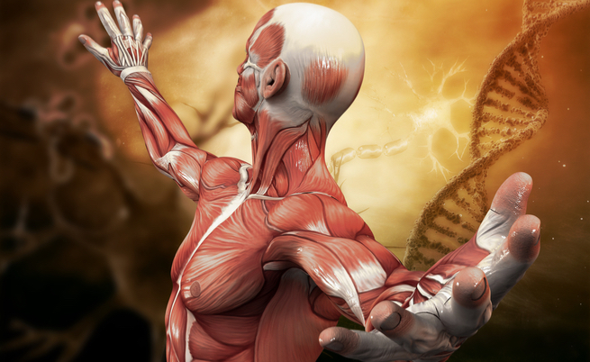 15 curiosità che NON conosci del tuo corpo