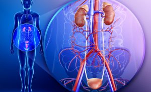 Cistite: i Cibi per Combattere l'Infezione