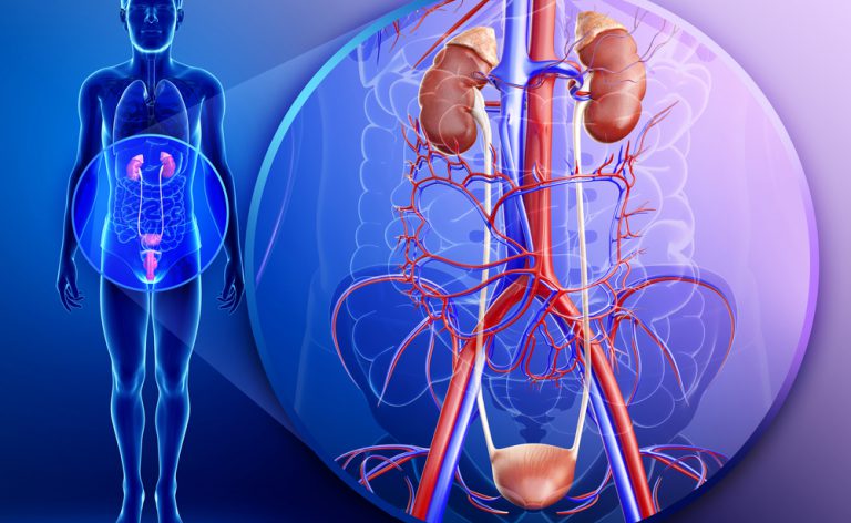 che tipo di antibiotico è usato per le infezioni alla prostata