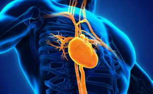 sindrome del cuore spezzato: i sintomi