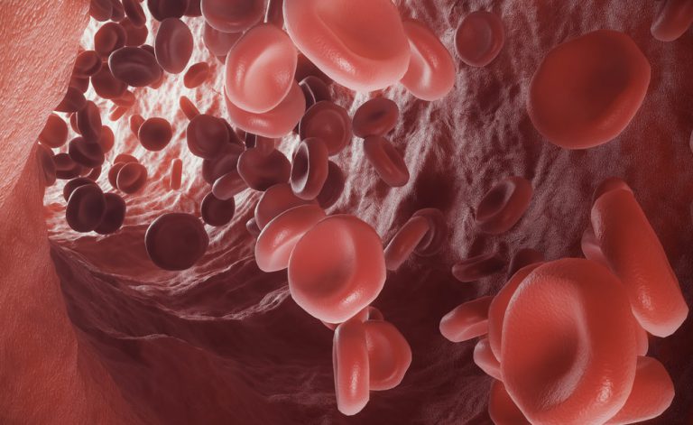Giornata mondiale del donatore di sangue: 8 regole per chi dona il sangue