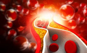 uova e colesterolo: c'è un aumento del rischio cardiovascolare?