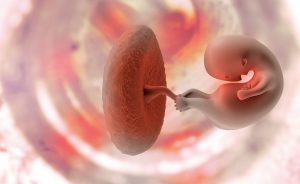 Liquido Amniotico: a cosa serve e le perdite