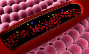 Diabete: la Dieta di Sola Carne