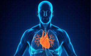 benefici del mango: protegge il cuore e l'intestino