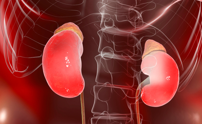 prostatite può provocare schiuma nelle urine test