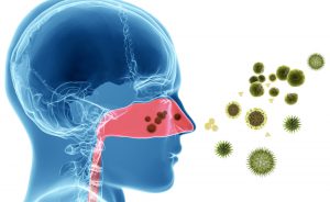 Rinite allergica e non allergica: gli Esami da fare