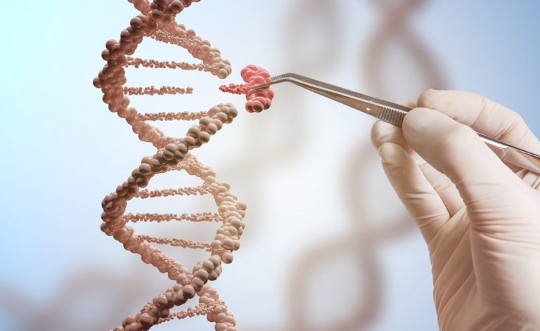 Autismo: scoperti due geni correlati alla sindrome