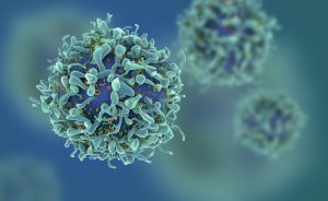 Linfociti T e Immunoterapia