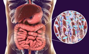 Disturbi intestinali e fermenti lattici