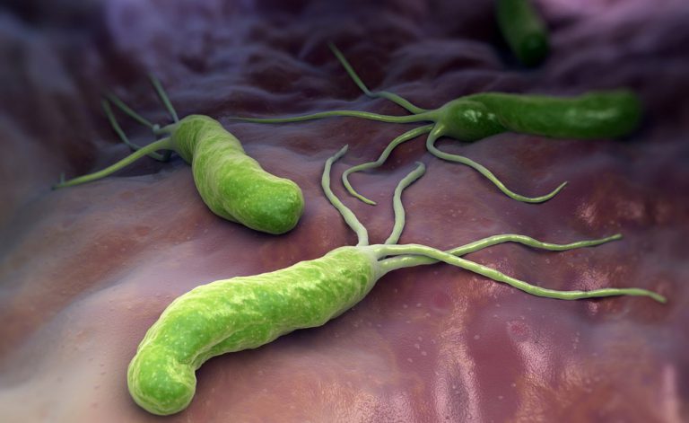 Mal di stomaco e reflusso: come scoprire se si ha l’Helicobacter Pylori?