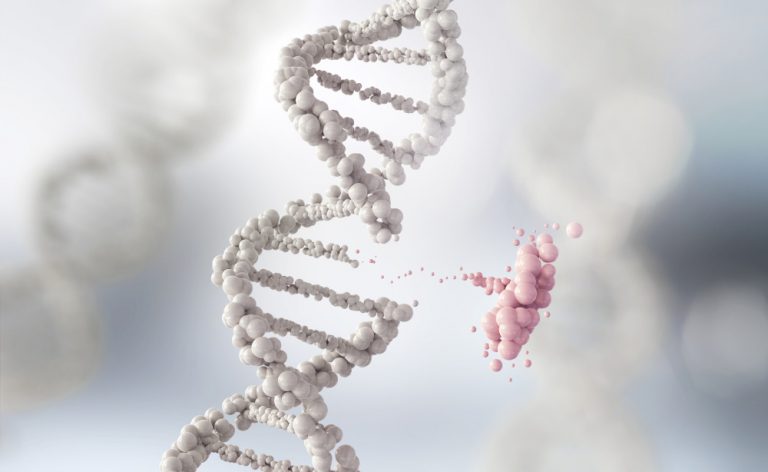 Immunodeficienze primitive: insieme a LaSpes per trovare le cure migliori