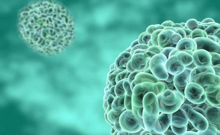 I vaccini indeboliscono il sistema immunitario?