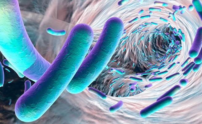 Perché NON dovresti mai interrompere l’antibiotico