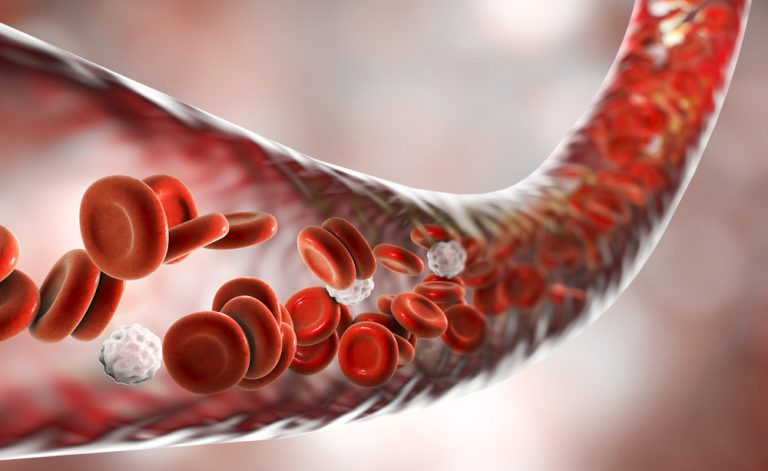 Cenoni natalizi? I valori del sangue da controllare dopo le Feste